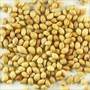 Coriander Seeds